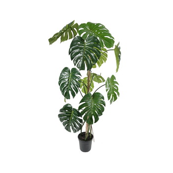 Götessons Monstera 150 cm